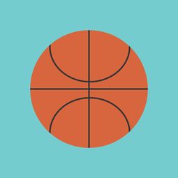 开云电子竞技-篮球运动信息化管理平台设计与应用，篮球信息app